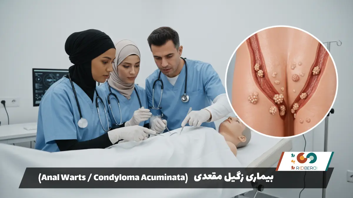 بیماری زگیل مقعدی (Anal Warts / Condyloma Acuminata)