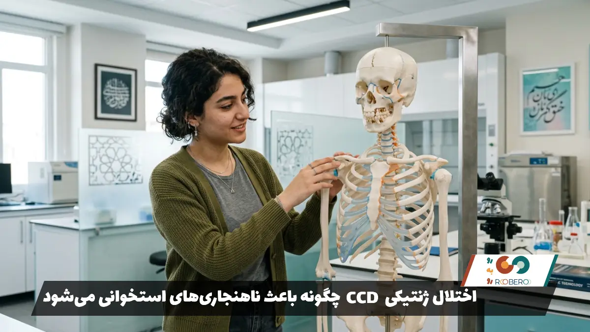 اختلال ژنتیکی CCD چگونه باعث ناهنجاری‌های استخوانی می‌شود