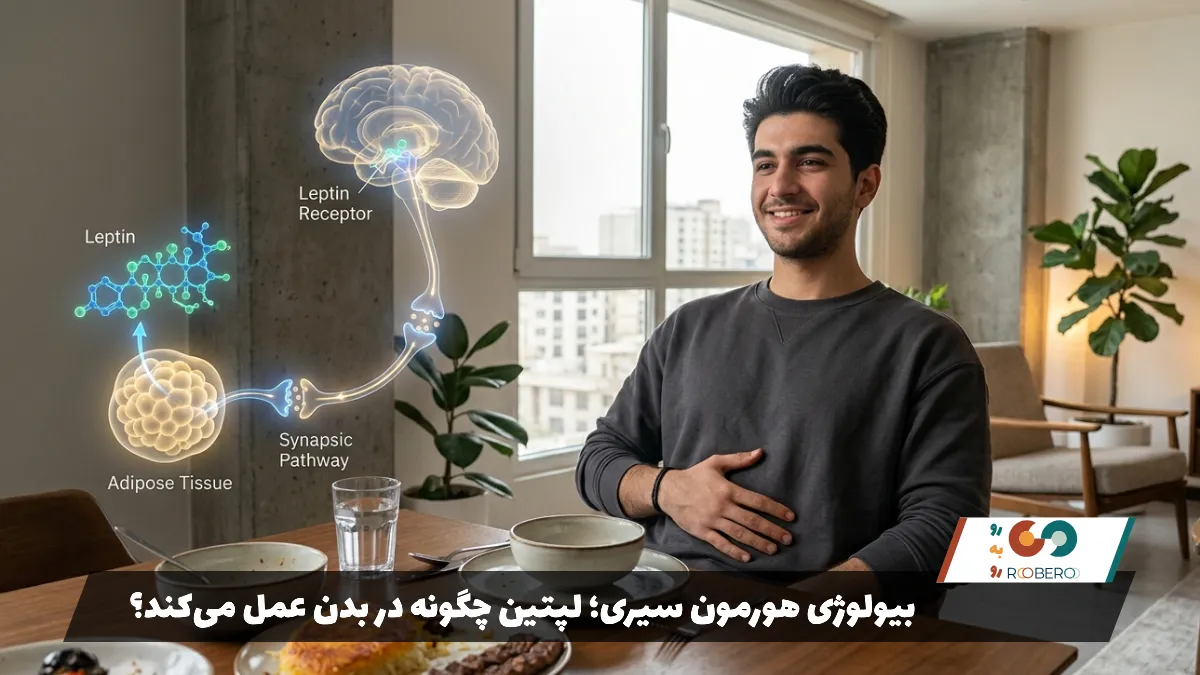 بیولوژی هورمون سیری؛ لپتین چگونه در بدن عمل می‌کند؟