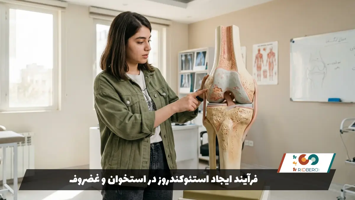 فرآیند ایجاد استئوکندروز در استخوان و غضروف