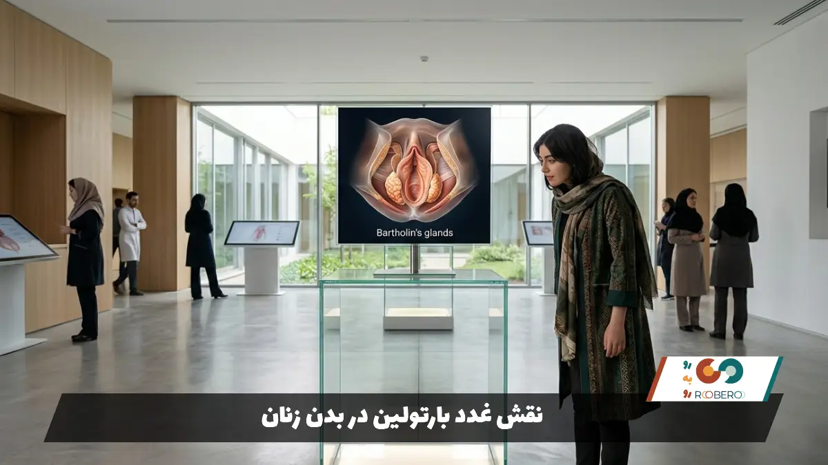 نقش غدد بارتولین در بدن زنان