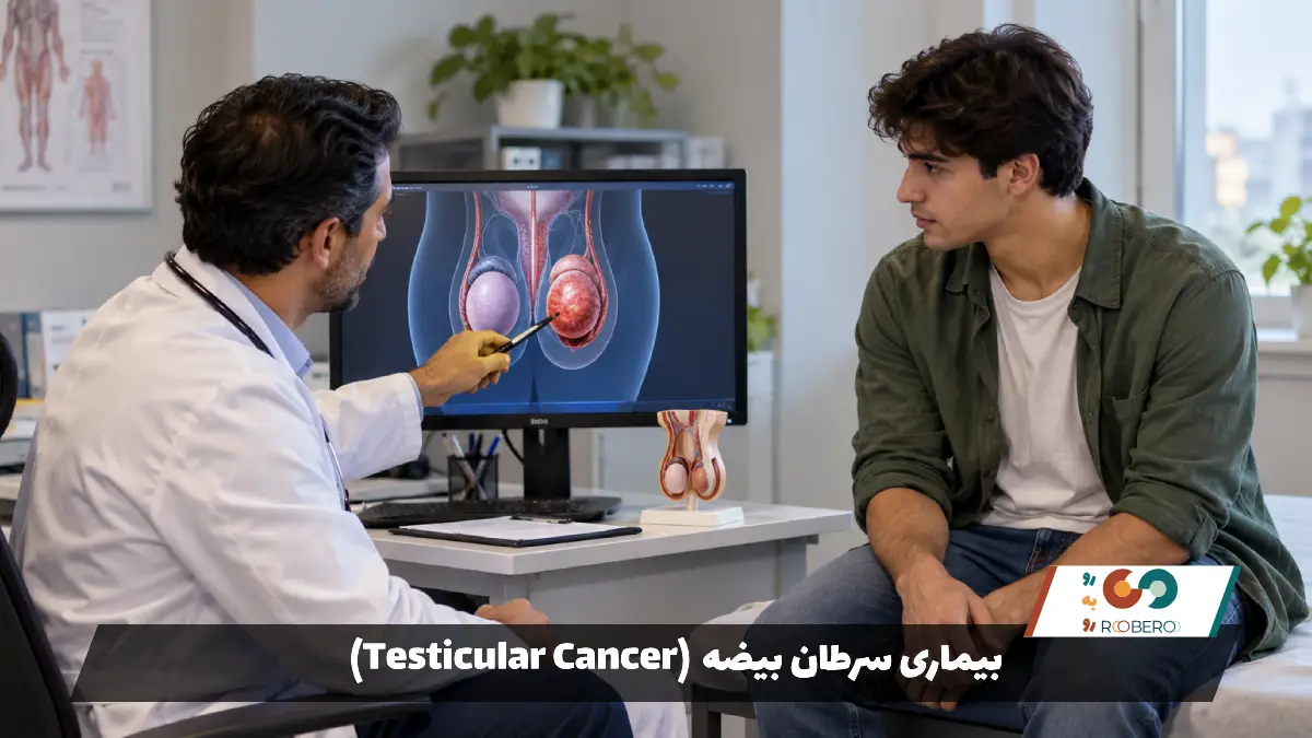بیماری سرطان بیضه (Testicular Cancer)